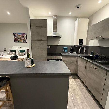Le Muscat Apartment Colmar Bagian luar foto