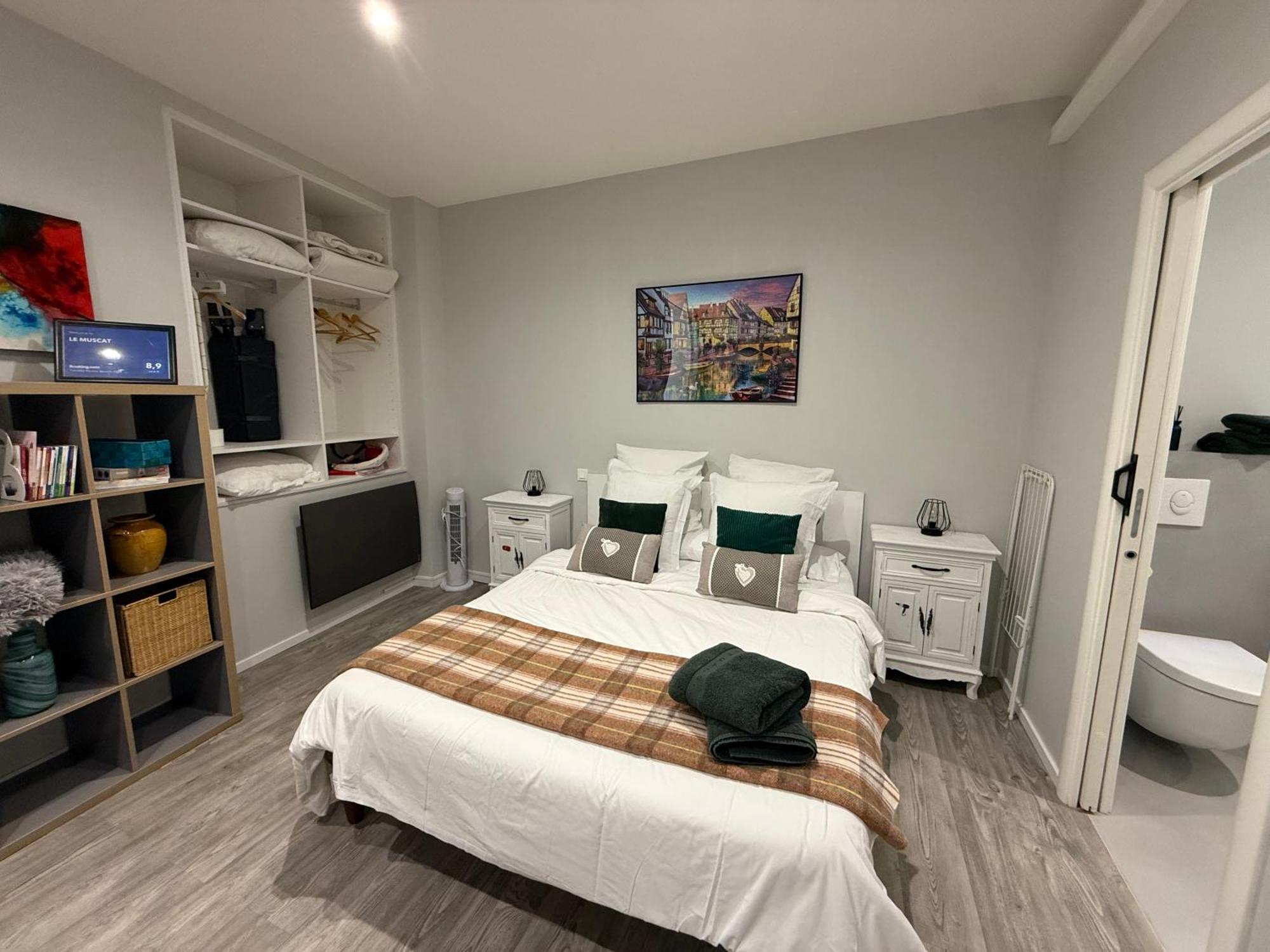 Le Muscat Apartment Colmar Bagian luar foto